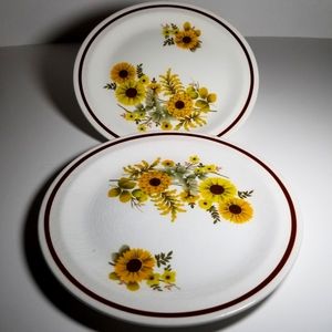 Daisy Ironstone Ware by Myott England 1970 set of 2 Floral plates.